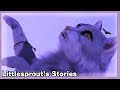 Welcome to Littlesprout's Stories