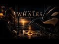 CRYPTO LIVE | Bitcoin Is Entering The Whale Zone | Be Ready | May 25