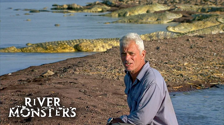 Jeremy Wade's SCARIEST Encounters with DEADLY ANIMALS | River Monsters thumbnail