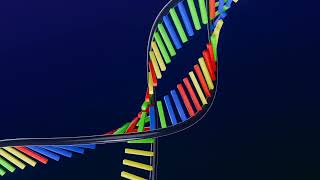 DNA Helix Unwinding and Replication - Blender Geometry Nodes 4.2