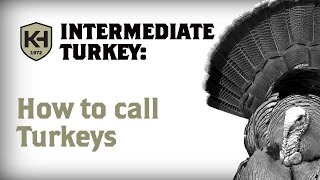 When and How to Call Turkeys: Intermediate Turkey Calling Tutorial