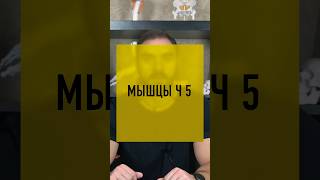 Почему не стоит пренебрегать силовыми тренировками! #мышцы #кардио #здоровье #фитнес #биохимия