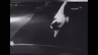 Animals Reacting to Zero Gravity in Space!