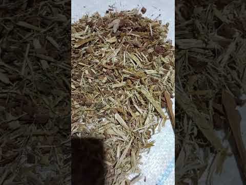 Дуб кора (500 г), видео 1