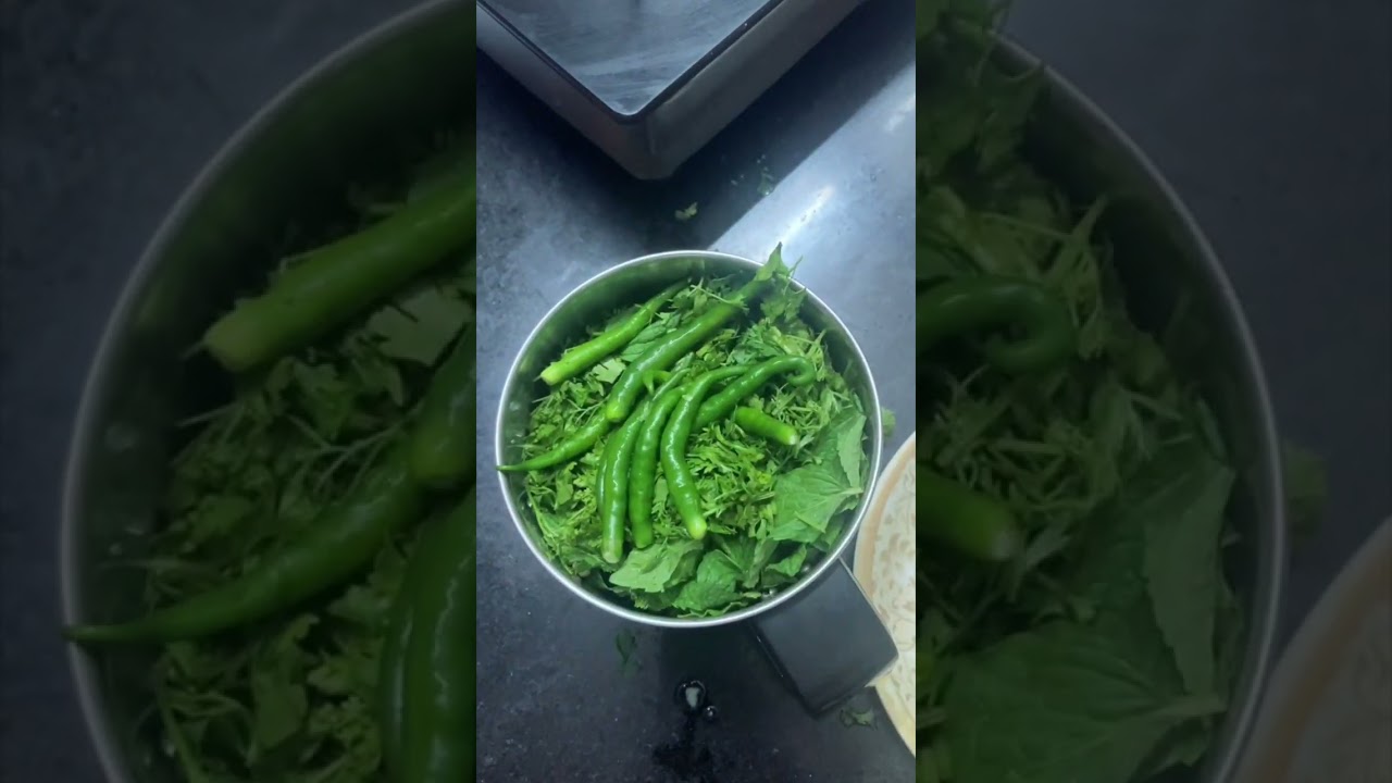 Mint Paste | पुदीना चटणी | Spicy Pudina Chutney Recipe in marathi | Mint Dip for Snacks & Chaat