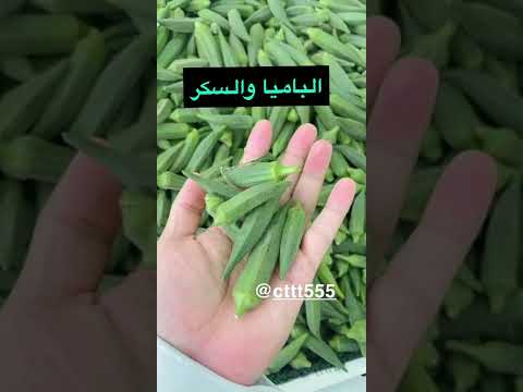 الباميا والسكر الكابتن أبو معاذ الدمام الشرقيه السعوديه