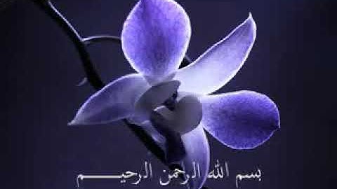 تلاوة من سورة ابراهيم / القارئ محمد البراك .