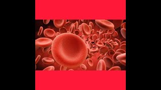 علاج فقر الدم ومخزون الحديد
