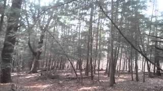 Rattlesnake Hill Wildlife Management Area  walk by Todder