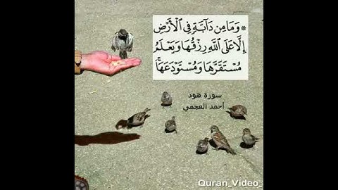 القرآن الكريم