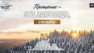 Восстановление человека, совершившего грех – это воля Божья | Чудо каждого дня