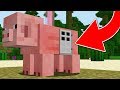 HOW TO LIVE INSIDE A PIG IN MINECRAFT!
