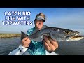 Catch big fish with topwaters