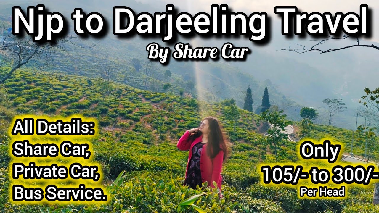 Njp to Darjeeling Travel By Share Car | All Details | Budget Travel to Darjeeling | Travel Vlog |