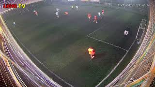 Bfk Allstar - Erguvan 151225