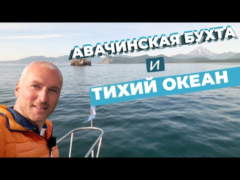 Авачинская бухта и Тихий океан