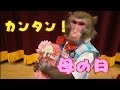 【カンタン！】サルでも作れる母の日ギフト！（#72）