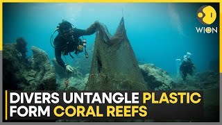 Thailand scuba divers clean plastic fishing gears from Oceans | World News | WION