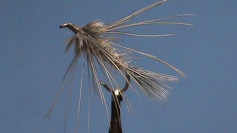 Fly Tying a Jack Gartside Sparrow with Jim Misiura