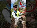 Animals Doing Things No One Expected