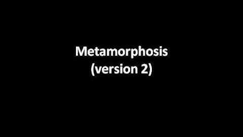 Controlled Metamorphosis of Animated Meshes Using Polygonal-Functional Hybrids