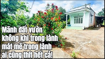 Cô chú lớn tuổi, sức yếu, cần bán gấp đất vườn sát đường chính để lo tuổi già và cho con cái.