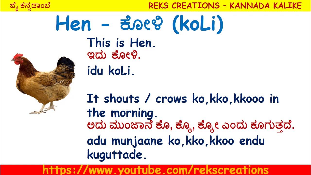 Learn To Read and Understand Kannada Para about Cow And Hen YouTube