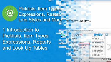 1 Picklists, Item Types, Expressions, Reports and Look Up Tables, an Introduction