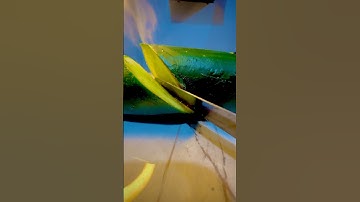 Cucumber vs knife #macro #closeup