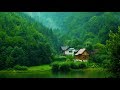 Красивая Польша Как люди живут в лесу. Дом с озером 20 м глубина видно дно. Кристально чистая вода.