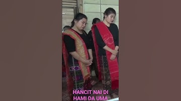 HANCIT NAI DI HAMI DA UMA,TINGGAL MA HAMI UMA#adatbatak#saurmatua#shortsfeed#shorts#shortsviral
