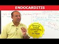 Endocarditis - Cardiac Pathology