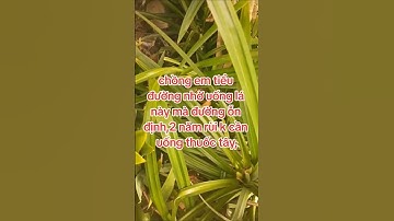 Chia sẻ công dụng trị tiểu đường hiệu quả từ cây lá Dứa #songkhoe #baithuochay #thuốcnam