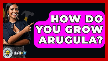 How Do You Grow Arugula? - LearnToDIY360.com