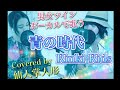 青の時代 (KinkiKids)Covered by 仙人掌人形