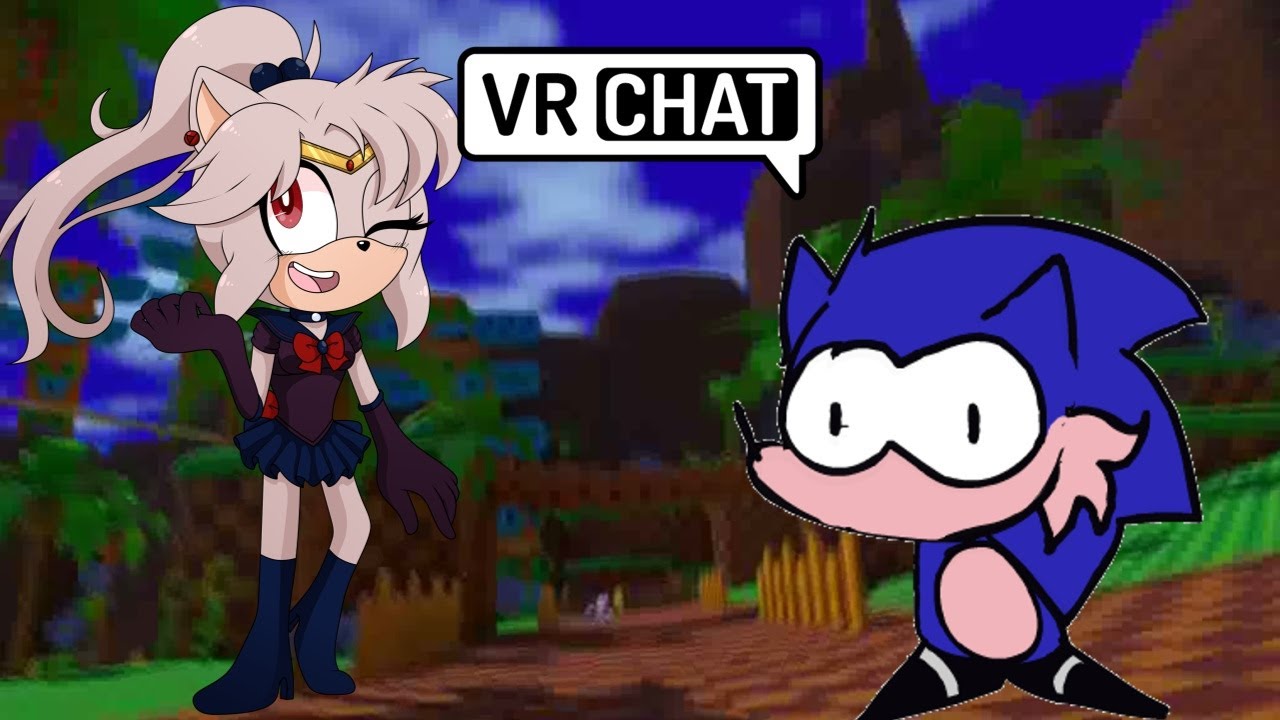 AN ADORABLE BOOTLEG?? Sailor Peace Meets Hog at Green Hill Zone (feat. ???) - VRChat