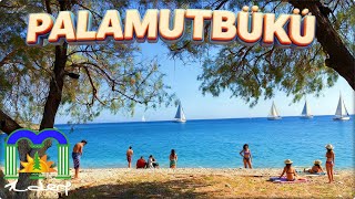 Eşsiz Doğası Ve Masmavi Koylarıyla Huzura Doğru Bir Kaçış Palamutbükü - Datça