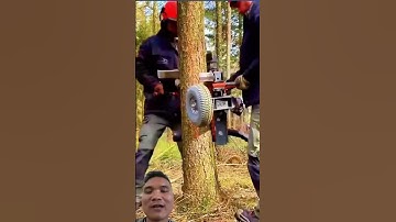 Máy Cắt Tỉa Cành Cây Hiện Đại #chainsaw