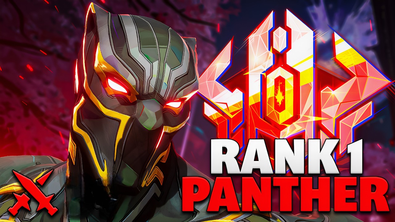 POV: You're The Rank #1 Black Panther!