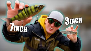 Big vs. Small Swimbaits For Bass! (GIANT CAUGHT!)