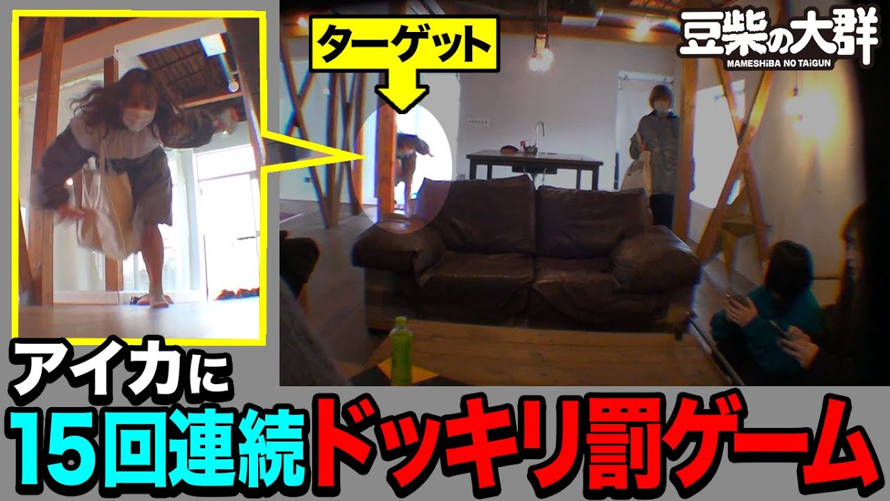 【豆柴の大群】アイカに15回連続ドッキリ罰ゲーム
