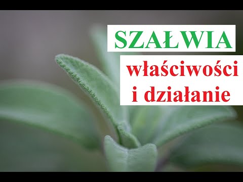 Wideo: Szałwia - Zastosowanie, Właściwości, Przeciwwskazania, Zawartość Kalorii