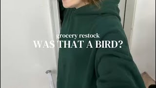 Grocery Restockwas That A Bird?