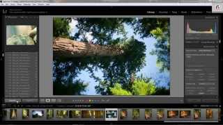 Lightroom 5 Tutorial - Calibrate RAW files to match camera settings