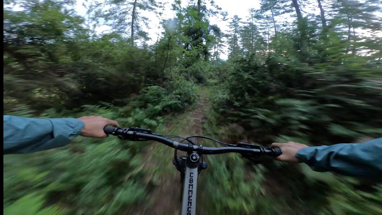 Takin Trail - Turned out to be literally a shitty ride(cow dung)