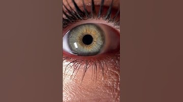 Fireworks blooming at 0 o