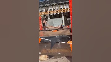 An overly aggressive tough mudder!