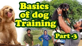 Basics Of Dog Training|Day1st Training session for Beginners in tamil|How to train any Dog the basic