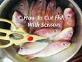 HOW TO CUT FISH WITH SCISSORS /HOW TO CLEAN FISH / HOW TO CUT FISH...