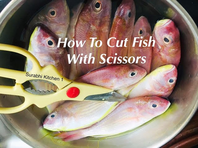 HOW TO CUT FISH WITH SCISSORS /HOW TO CLEAN FISH / HOW